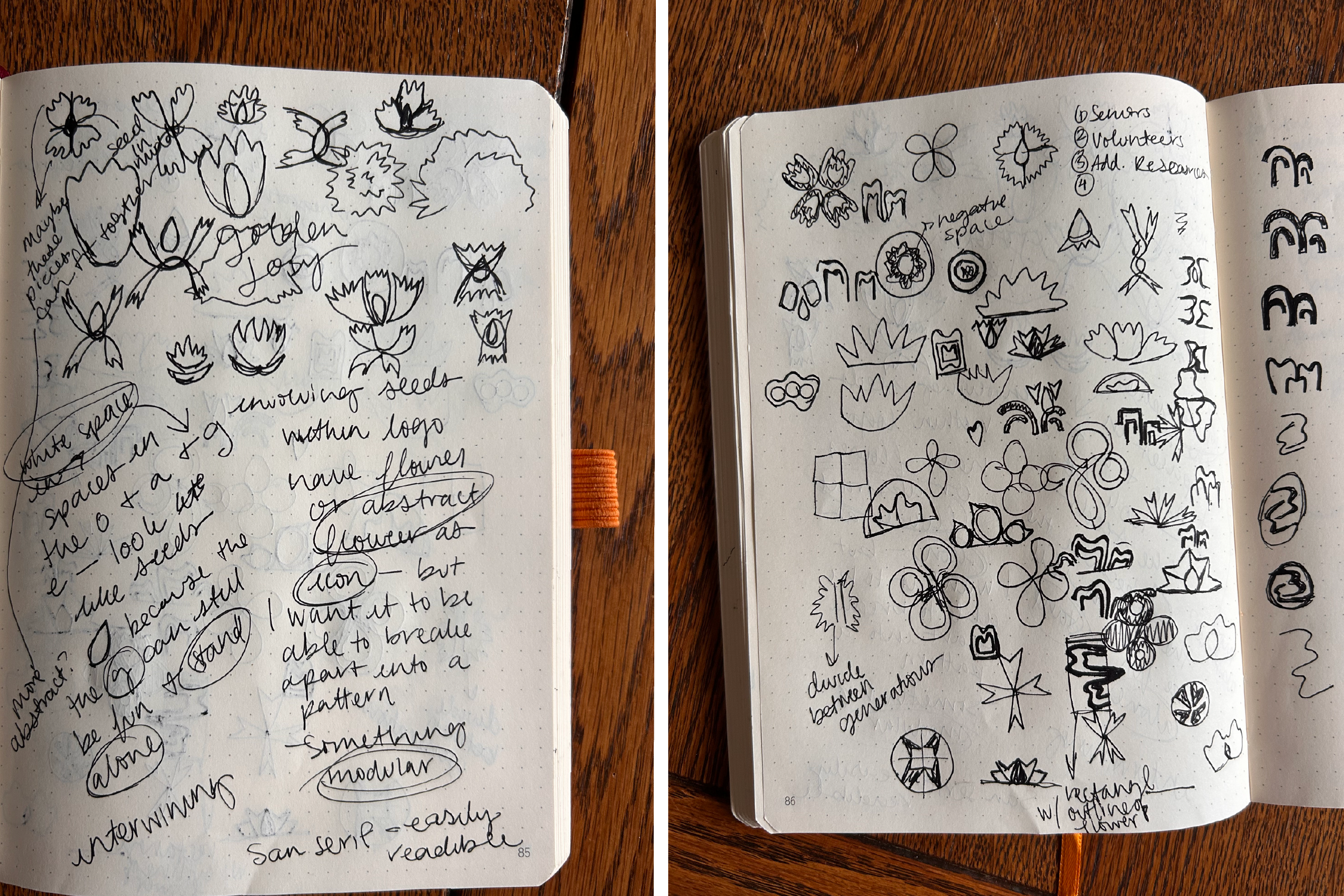 Golden Joy Logo Sketches